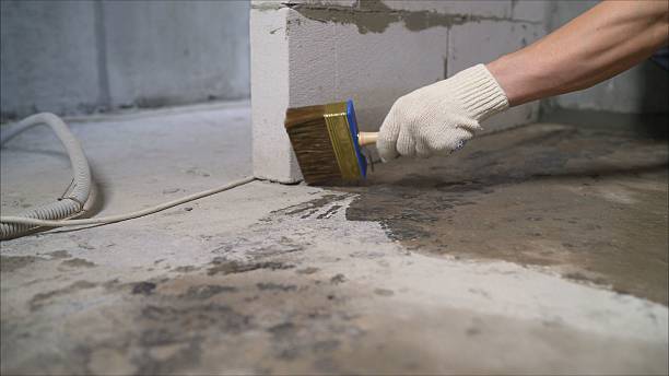 SJ Waterproofing Pros Foundation Crack Repair coverage map for Lakewood, WA and surrounding area